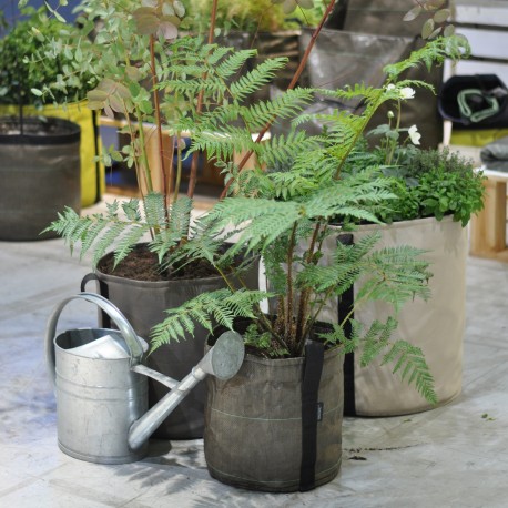 Bacsac Pot 10 liter plant