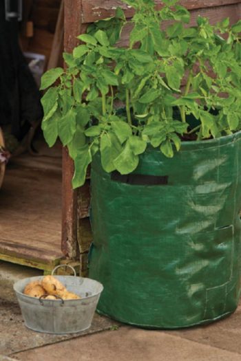 Grow it Aardappel kweekzak met oogstklep