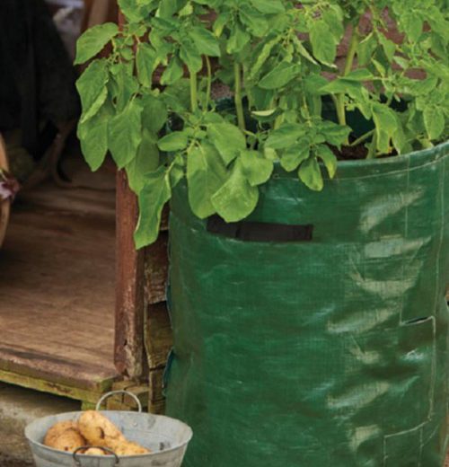 Grow it Aardappel kweekzak met oogstklep
